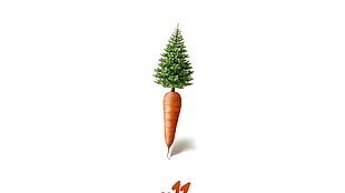 carrot and pine tree illustration