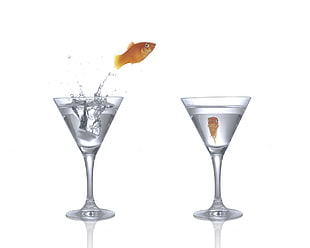 goldfish jumping to martini glass graphic wallpaper HD wallpaper