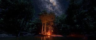 illustration of campfire under starry night HD wallpaper