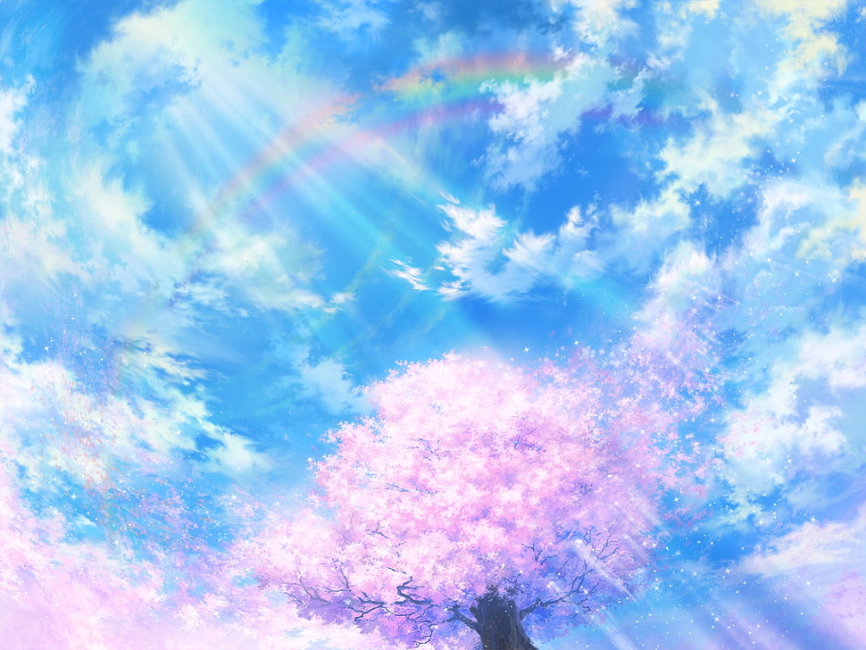 pink leaf tree under blue sky HD wallpaper