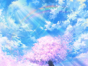 pink leaf tree under blue sky
