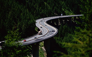 gray and black motorcycle part, forest, Freeway, road