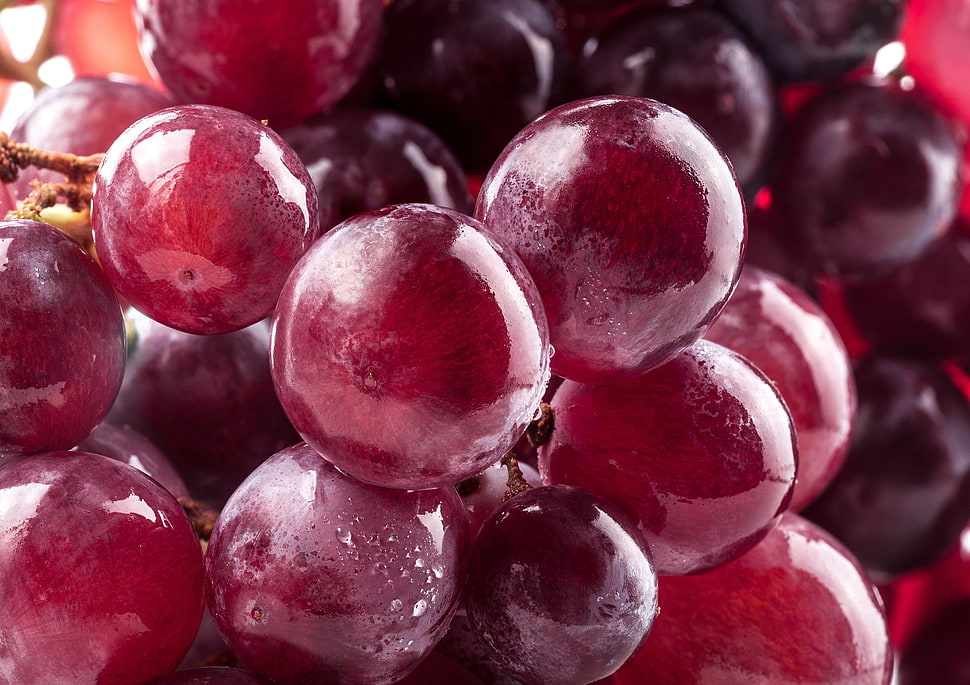 red grape fruits HD wallpaper