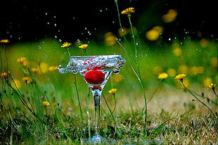 selective photo of martini glass during rain