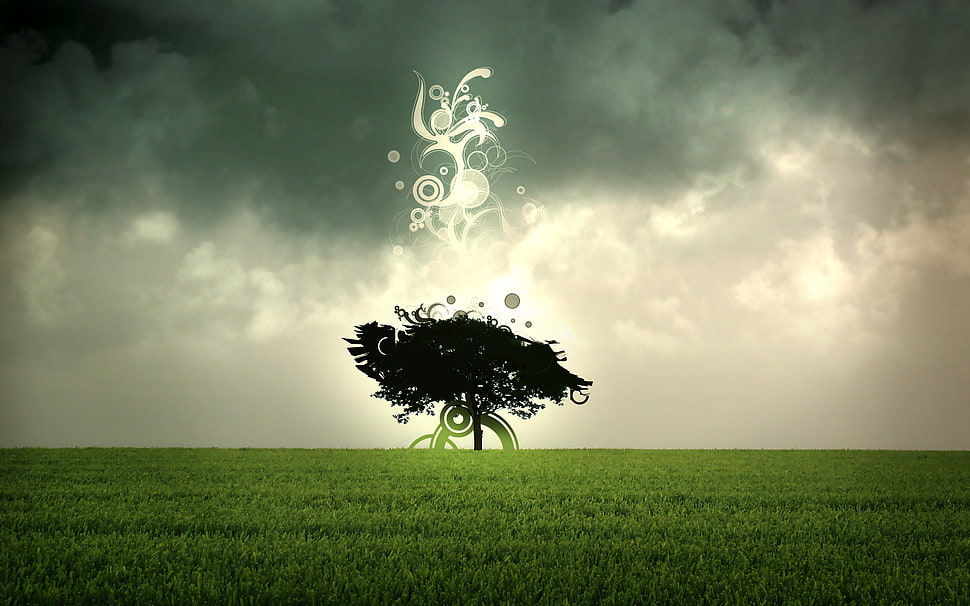 lightning striking tree HD wallpaper