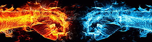 human hands with red and blue flames