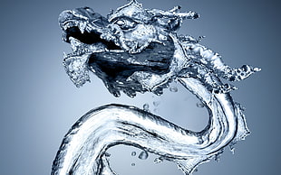 water dragon wallpaper, dragon, water