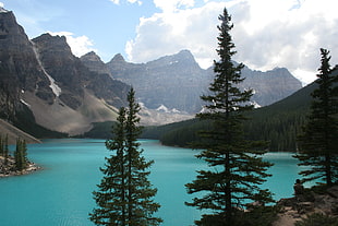 body of water surrounded by pine trees near mountain, banff HD wallpaper