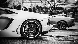 grayscale photo of vehicle, car, Lamborghini, monochrome, vehicle
