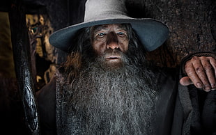 Gandalf, Gandalf, The Hobbit, The Hobbit: The Desolation of Smaug, Ian McKellen HD wallpaper