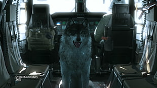 gray and black wolf, Metal Gear Solid V: The Phantom Pain, Big Boss, Metal Gear Solid 