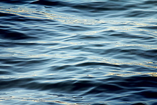 blue body of water during daytime
