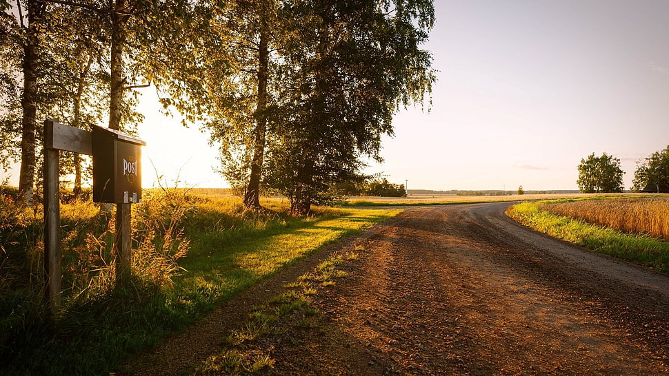 brown wooden mailbox, nature, trees, sunset, path HD wallpaper