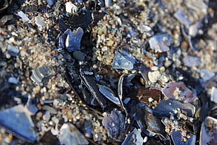 brown sand closeup photo, nature, Germany, macro, pebbles