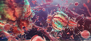 multicolored microscopic images