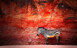red and white zebra print textile, animals, zebras, rocks, creativity