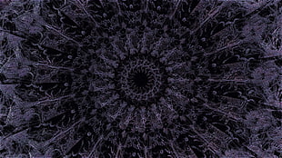 black and gray floral digital wallpaper, 3D fractal, minimalism, render HD wallpaper