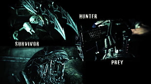 Alien movie photo collage, Predator (movie), movies, Alien (movie) HD wallpaper
