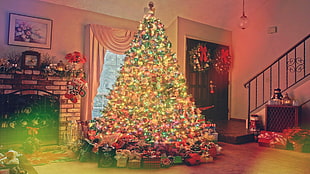 green Christmas tree, lights, trees, interior, holiday HD wallpaper