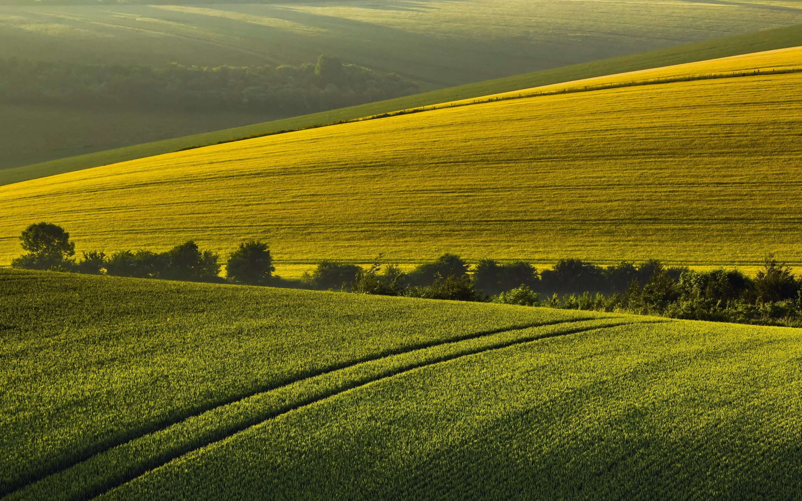 green grass field, nature, landscape, field, hills