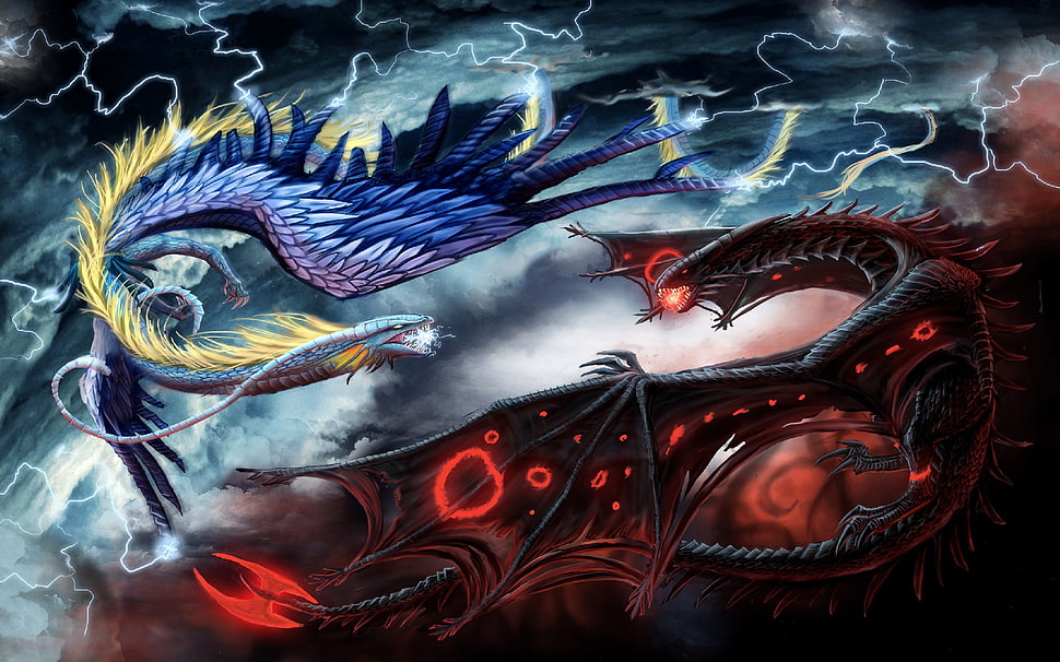 blue and red Dragon fighting poster HD wallpaper