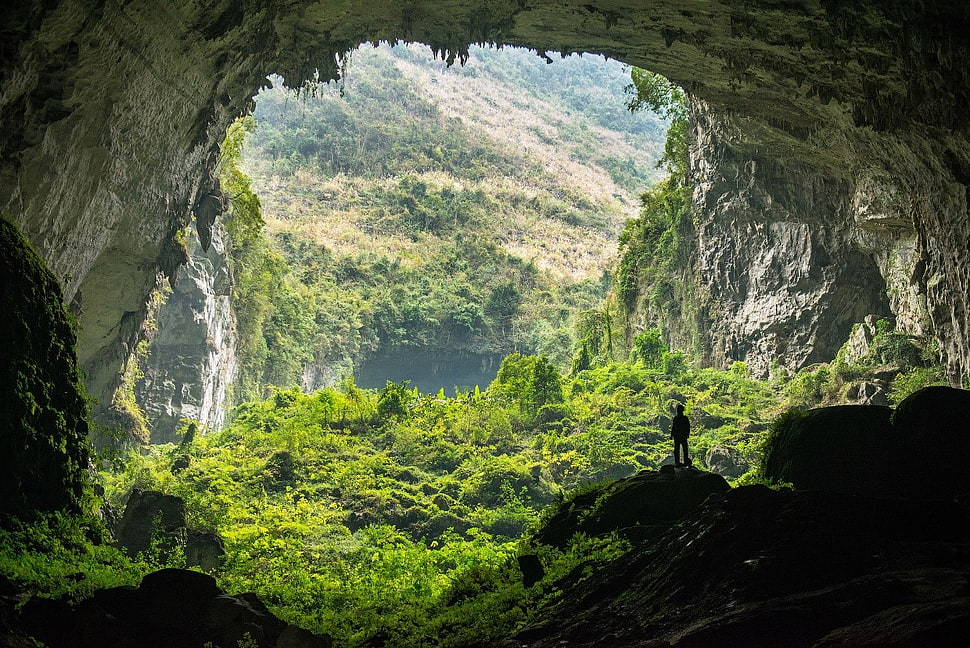 gray cave, nature, landscape, trees, forest HD wallpaper