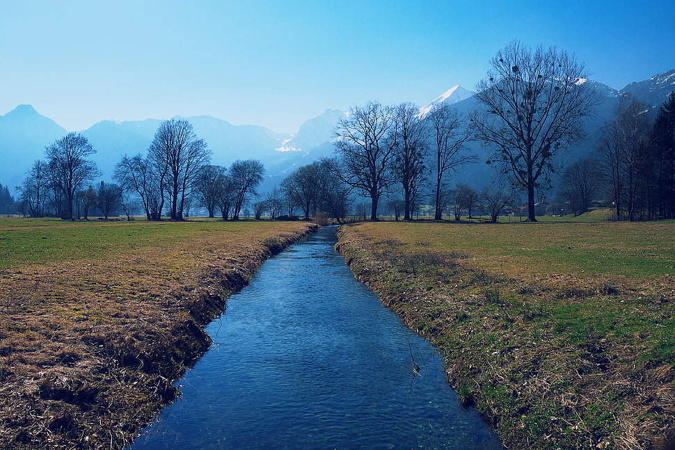 water stream between grass fields, alpbach HD wallpaper