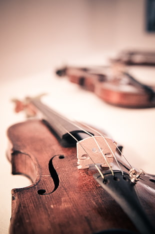 three violine HD wallpaper
