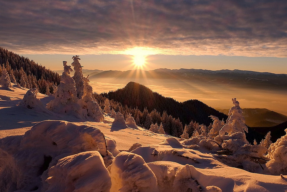 snowy mountain, landscape, nature, sunset, forest HD wallpaper