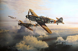 two black-and-brown airplanes, Messerschmitt, Messerschmitt Bf-109, World War II, Germany HD wallpaper