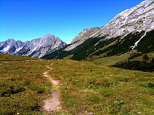 green grass field near grey mountains under blue sky, tirol, scharnitz, achensee, austria HD wallpaper