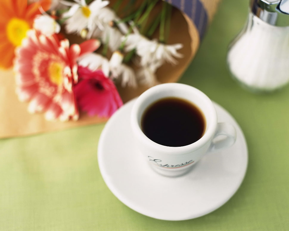 person showing white ceramic tea cup with saucer HD wallpaper