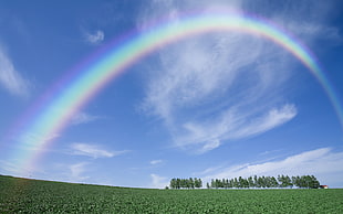 landscape photography of rainbow and green field