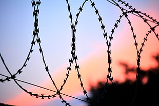 silhouette of barbed wire during sunset HD wallpaper