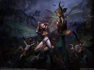 fairies digital wallpaper HD wallpaper