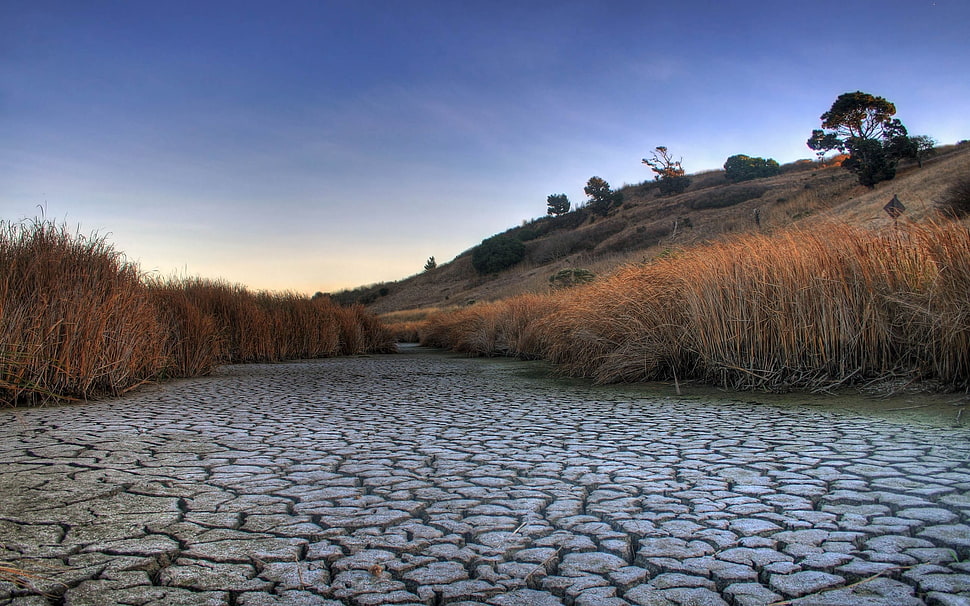 dry land between grass under blue sky HD wallpaper