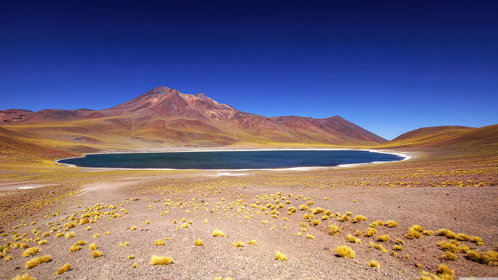 brown wooden bed frame with pink bed sheet, landscape, lake, mountains, valley HD wallpaper