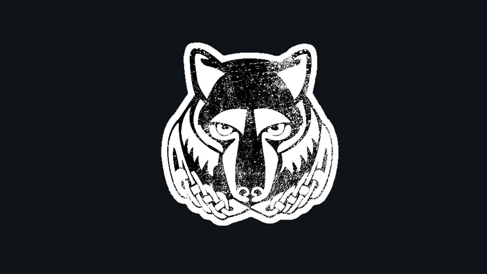 white and black wolf wallpaper, wolf HD wallpaper