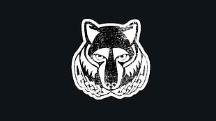 white and black wolf wallpaper, wolf
