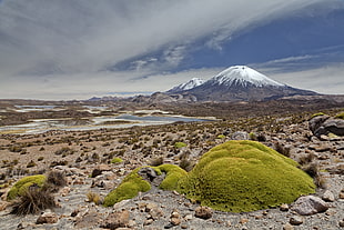 green moss formed on rocks near mountain during daytime, parinacota volcano