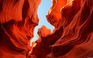 grand canyon Arizona, nature, landscape, rock formation, canyon HD wallpaper