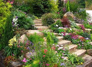 garden with stairs during daytime HD wallpaper