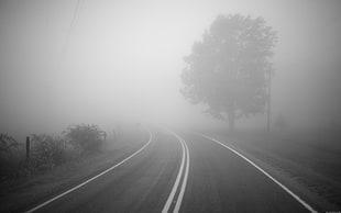asphalt road, road, mist, trees, monochrome