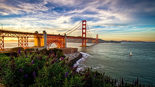 Golden Gate Bridge, California, Golden Gate Bridge, bridge, sea, architecture