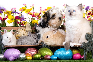 assorted animals and flowers