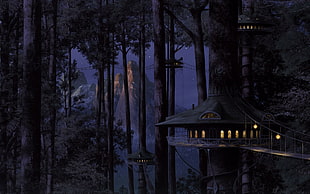 photo of tree houses with mountain background during nighttime