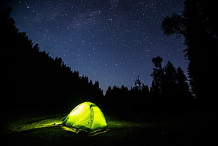 green dome tent, night sky, forest, trees, lights