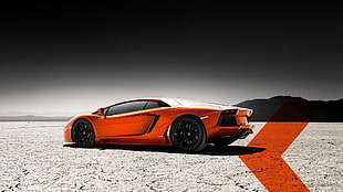orange Lamborghini Aventador, Lamborghini, car