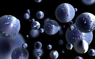 closeup photo of water droplets HD wallpaper