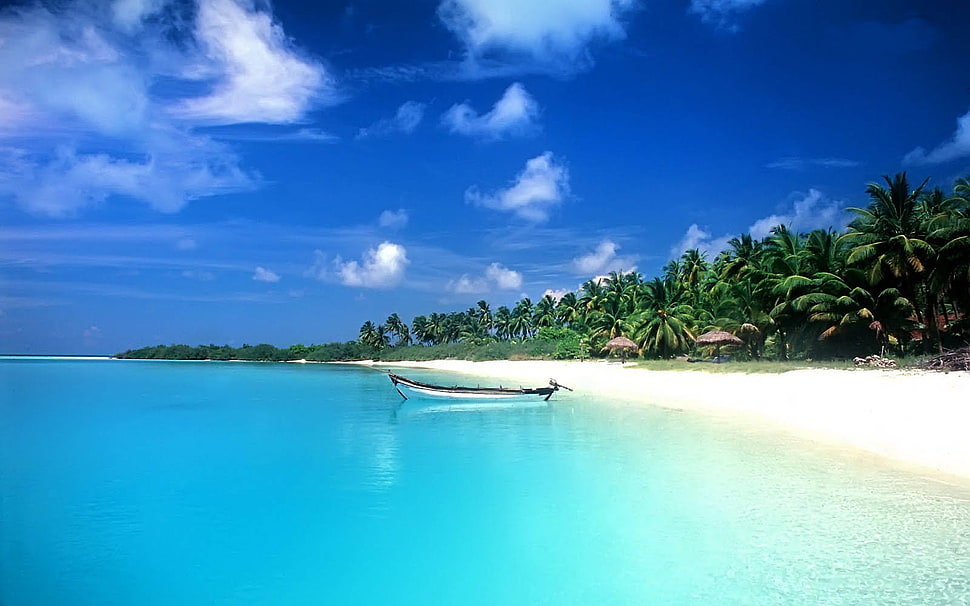 sea wallpaper HD wallpaper